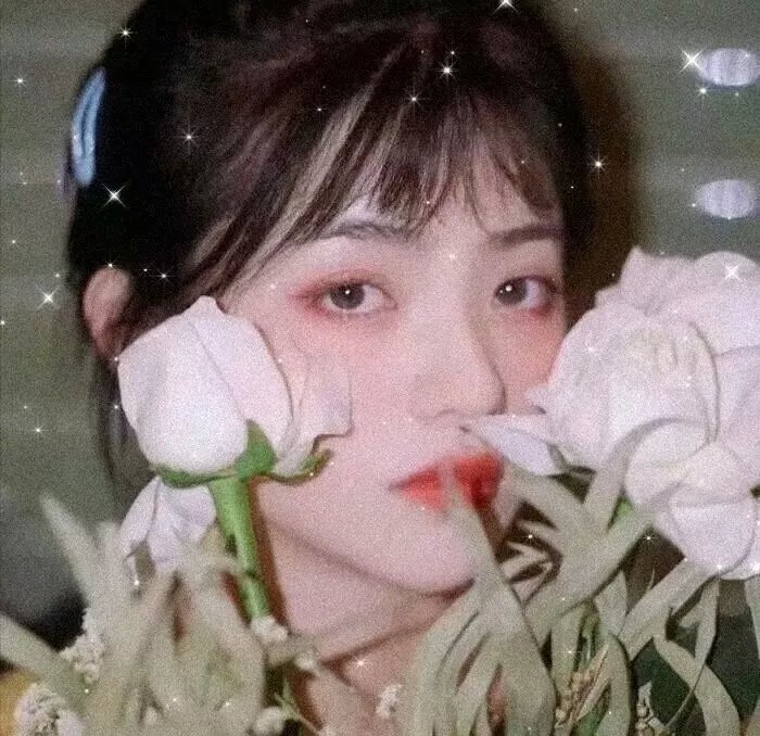 妻子的秘密世界