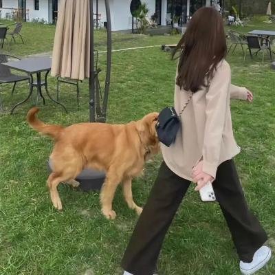 重逢有日